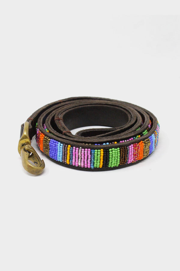 Dog-Lead-Multishine-on-Coffee-Leather